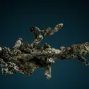 Silver - image 4