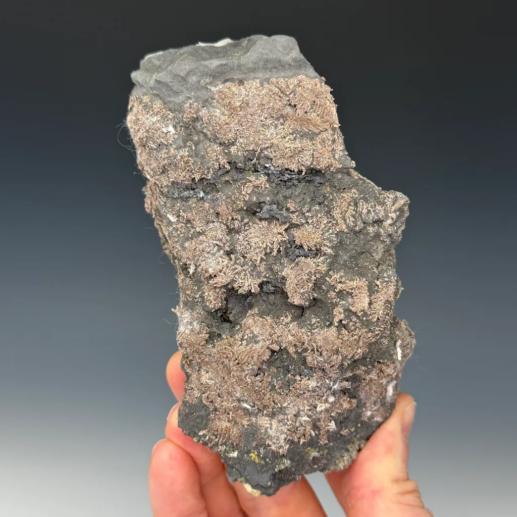 Silver image