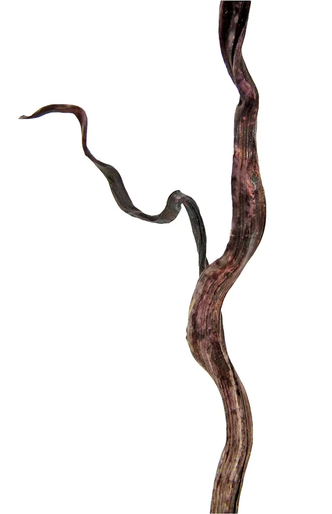 Silver - image 4