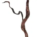 Silver - image 4