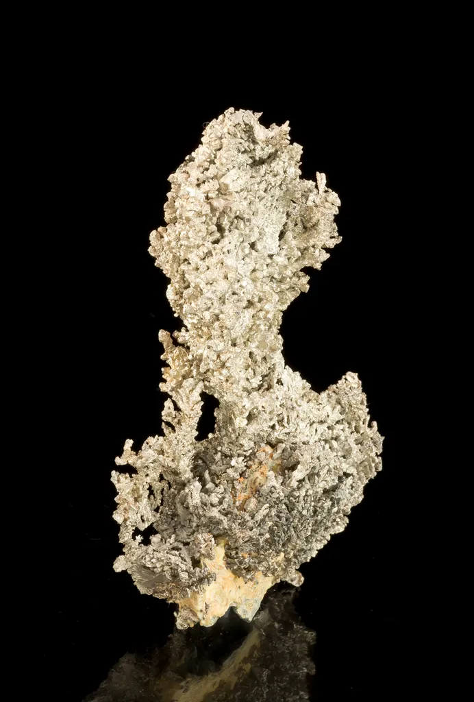 Silver - image 3
