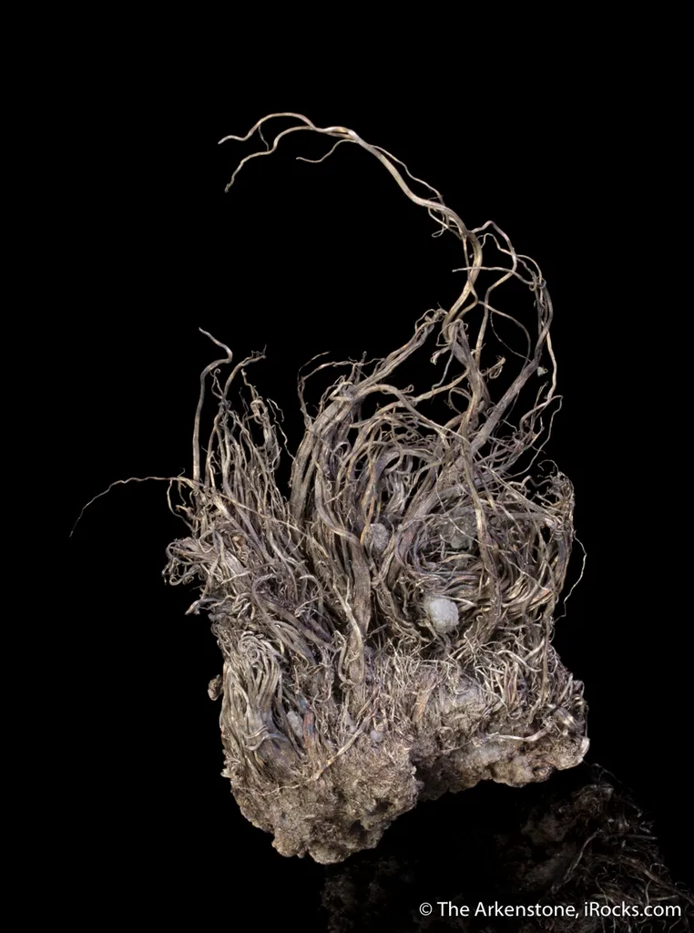 Silver - image 5