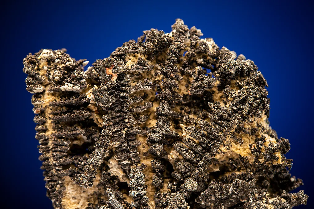 Silver - image 2