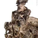 Silver - image 2