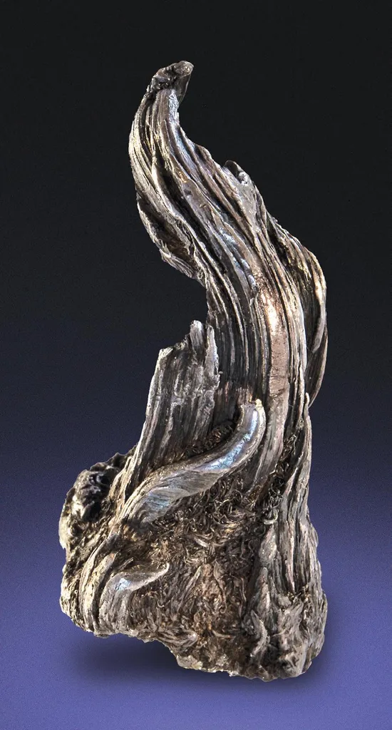 Silver image