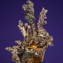 Silver - image 1
