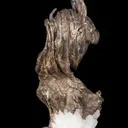 Silver - image 3