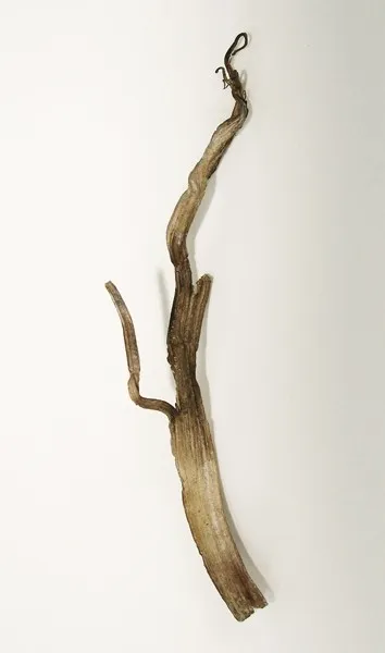 Silver image