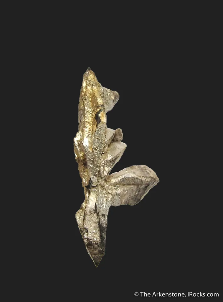 Silver - image 4