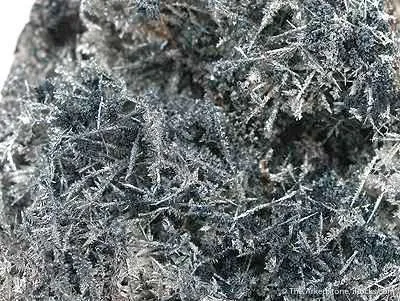 Silver - image 2