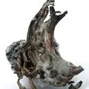 Silver - image 1