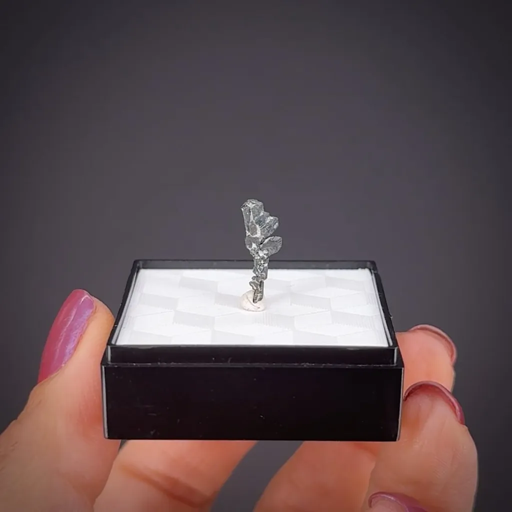 Silver - image 2