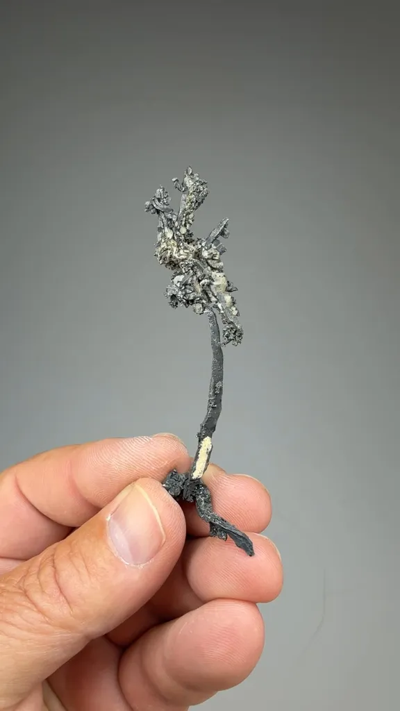 Silver image