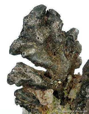Silver - image 2
