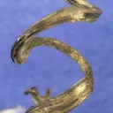 Silver - image 7