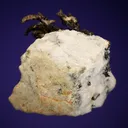 Silver - image 4