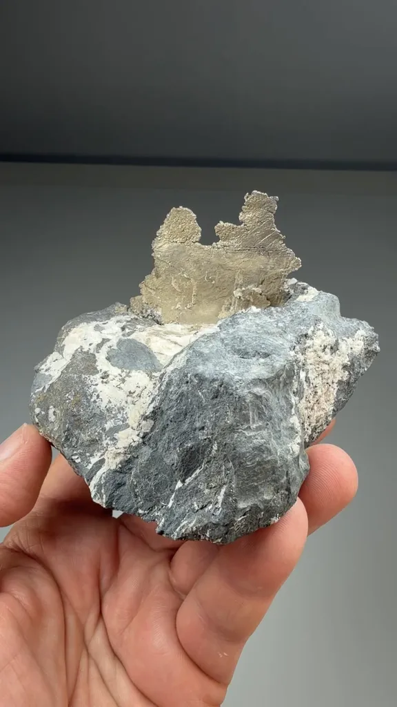 Silver - image 2