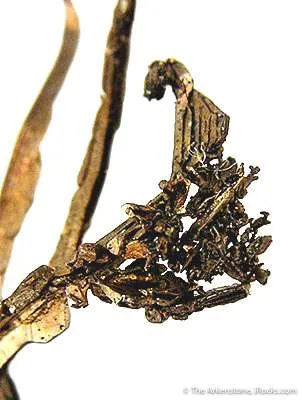 Silver - image 2