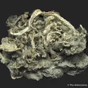 Silver - image 1