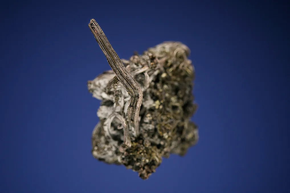 Silver - image 5