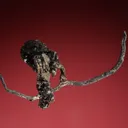 Silver - image 2
