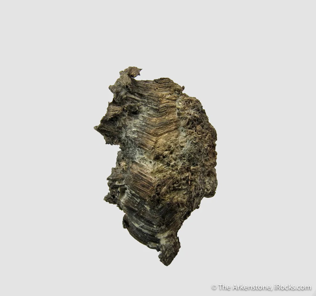 Silver - image 2