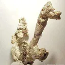 Silver - image 2