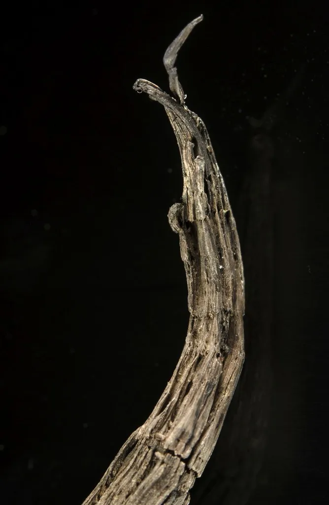Silver - image 3