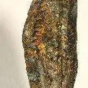 Silver - image 2
