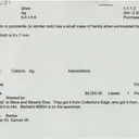 Silver - image 3