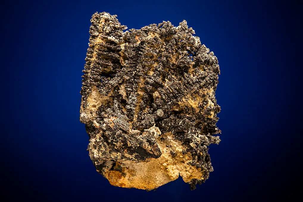 Silver image