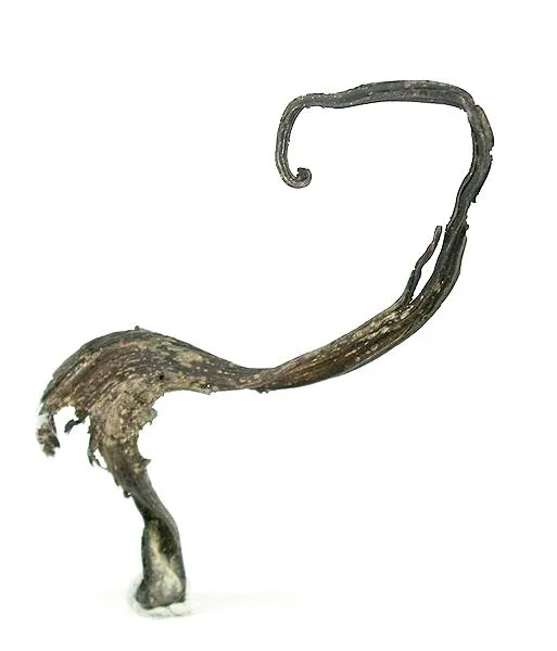 Silver image