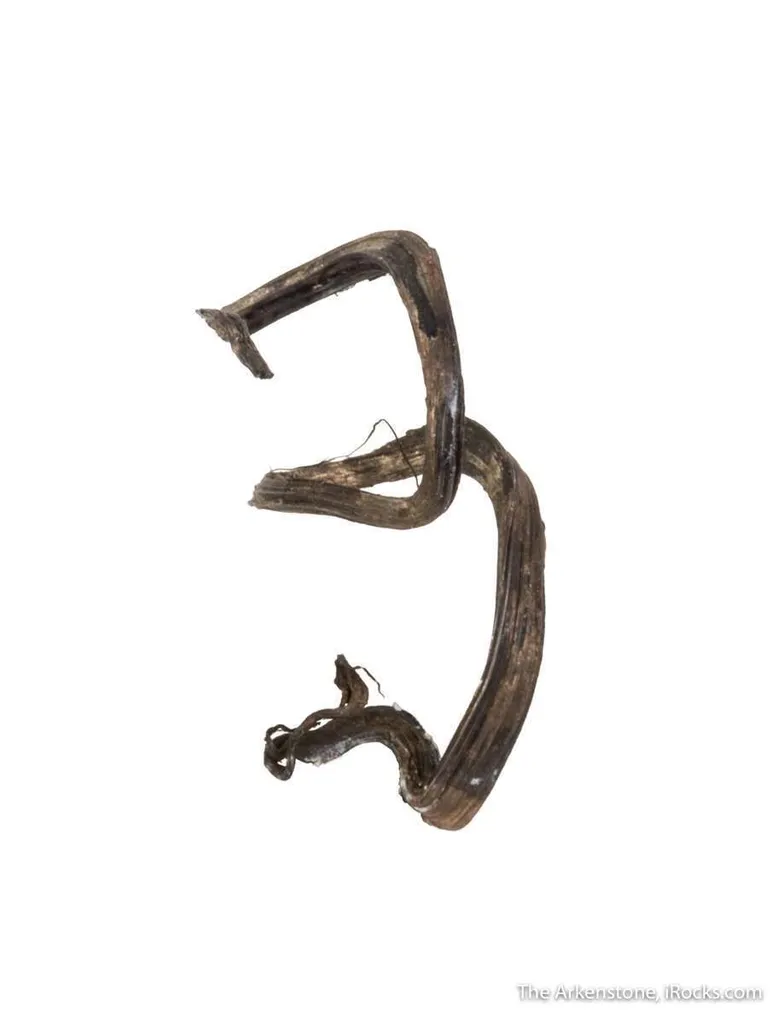 Silver - image 4