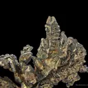 Silver - image 1