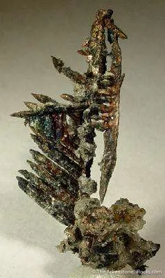 Silver - image 4