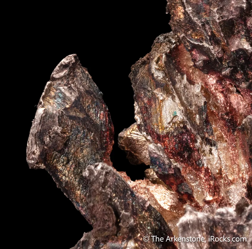 Silver - image 7