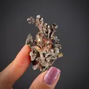 Silver - image 2