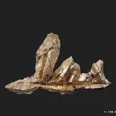 Silver - image 5