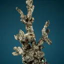 Silver - image 1