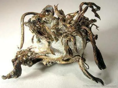 Silver - image 3