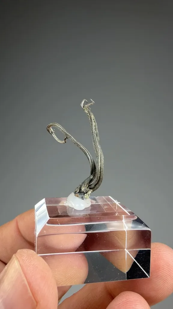 Silver - image 2