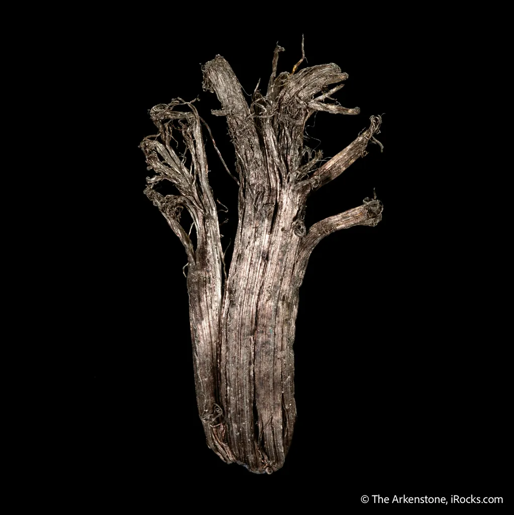 Silver - image 5