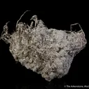 Silver - image 5
