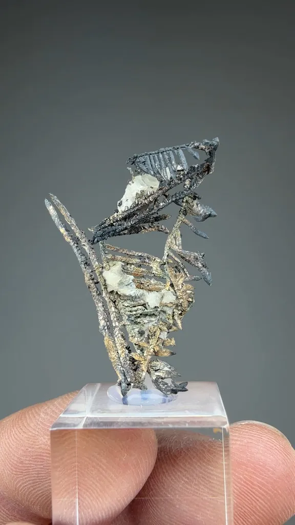 Silver - image 2