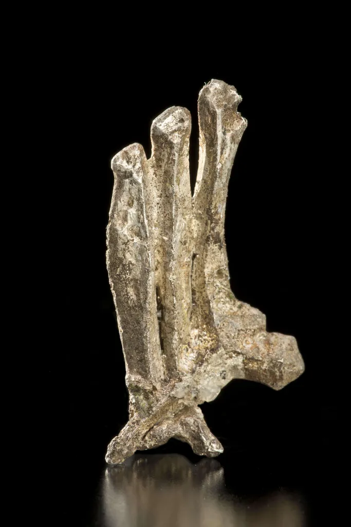 Silver - image 3