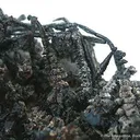 Silver - image 3