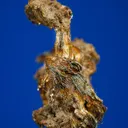 Silver - image 4