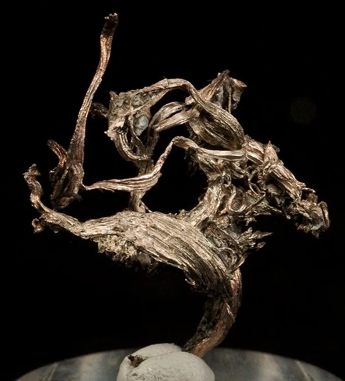 Silver image