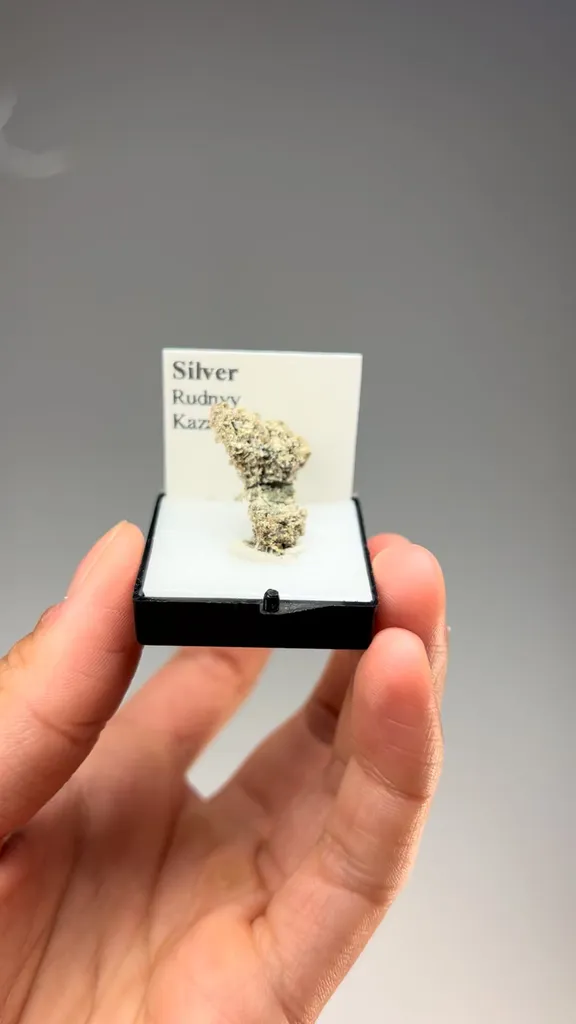 Silver - image 2