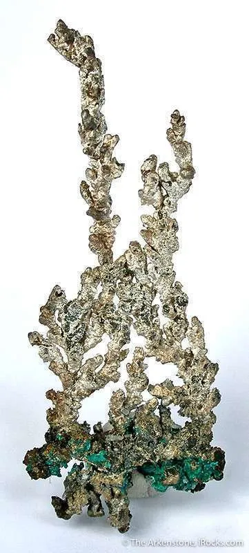 Silver image